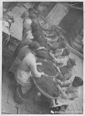 湖北赤壁青砖茶之现状探析